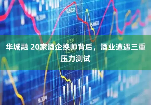 华城融 20家酒企换帅背后，酒业遭遇三重压力测试