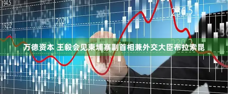 万德资本 王毅会见柬埔寨副首相兼外交大臣布拉索昆