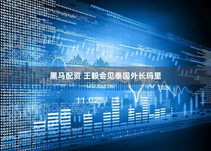 黑马配资 王毅会见泰国外长玛里