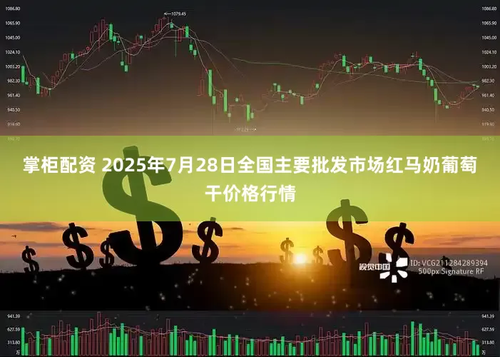 掌柜配资 2025年7月28日全国主要批发市场红马奶葡萄干价格行情