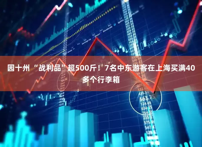 园十州 “战利品”超500斤！7名中东游客在上海买满40多个行李箱