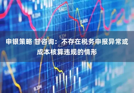 申银策略 甘咨询：不存在税务申报异常或成本核算违规的情形