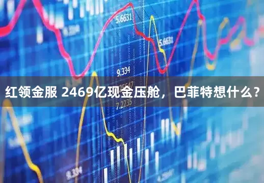 红领金服 2469亿现金压舱,巴菲特想什么?